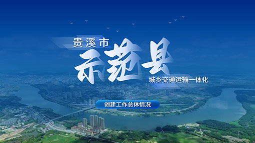 政务工作PPT案例