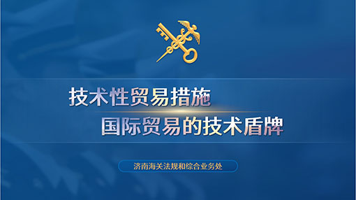 政务服务类PPT案例